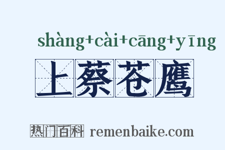 上蔡苍鹰是什么意思的图片